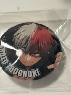 ヒロアカ　ガラスマグネットコレクション　轟