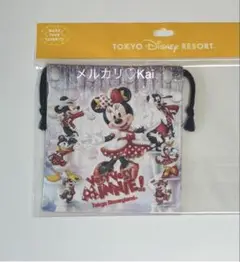 きんちゃく　ベリーベリーミニー　ファンダフルディズニー　ベリミニ　パルパルーザ