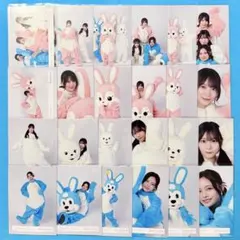 【匿名配送】 見つけて櫻坂うさぎ 24枚 フルコンプ 【硬質ケース発送】 匿名配送】 見つけて櫻坂うさぎ 24枚 フルコンプ 【硬質ケース発送