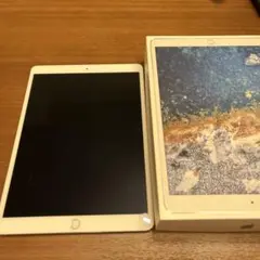 本体iPadPro256GB(10.5インチ)シルバー