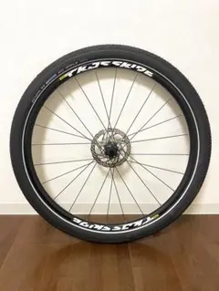 primrose様専用 20インチホイール(406)シュワルベ ビッグアップル