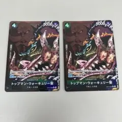 ● T プレイ用　ワンピース　トップマンウォーキュリー聖　2枚　N5508