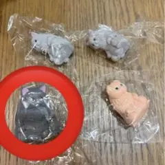 jin↔jin ※プロフ確認様専用ページ