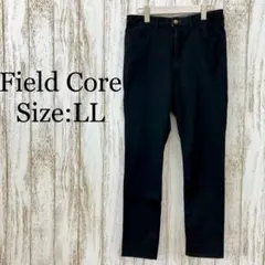 フィールドコア　ワークマン❤️スキニーパンツ　大きめ　黒　ブラック　LL