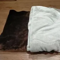ニトリ 敷きパッド Nウォーム モイスト シングル　2点