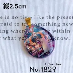 霰様 リクエスト 5点 まとめ商品 H1P4