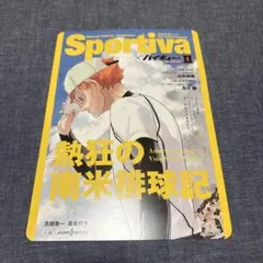 2026年最新】SPORTIVA ハイキュー ビジュアルボードの人気アイテム
