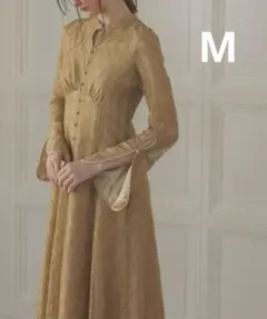 ★新品タグ付き★ドリードール　ロングスリーブレースドレス　結婚式　パーティー