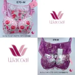 Wacoal L'ge 35G リボンブライギリスの宮殿E70-M