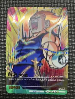 限界突破 爆レア ドラゴンボールデータカードダス　PSA7 限界突破 ドラゴンボール データカードダス 爆レア - メルカリ