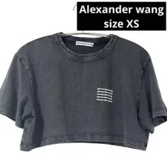 アレキサンダーワン【美品】ウォッシュ加工 半袖Tシャツ ショート丈