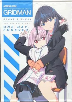 SSSS.GRIDMAN 宝多六花 ロングタペストリー キャラ福くじ A賞 - メルカリ