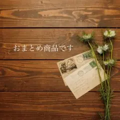 tweety49様 リクエスト 2点 まとめ商品