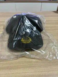 ぽこあポケモン　キャップ　エディオン特典