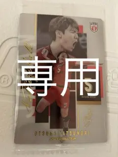 専用出品