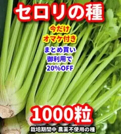 モンモン様 リクエスト 3点 まとめ商品