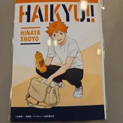【ハイキュー】日向翔陽 ジャンプフェスタ ピクチャーズコレクション ブロマイド