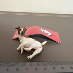 チョコQペット動物ジャック・ラッセル・テリアのサムネイル