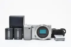 SONY NEX-5 ダブルレンズキット【液晶保護カバー・新品ストラップ付