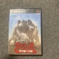 栄冠は君に 甲子園への道