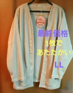 Item thumbnail for item 40e026dd-31fa-4b1a-bc7e-c8d70e030ddf