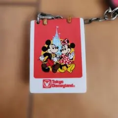 東京ディズニーランド ミッキー ミニー キーホルダー