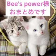 Bee's power(ビーゲンキ)様 リクエスト 3点 まとめ商品