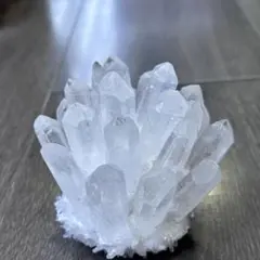 kazumin様 リクエスト 2点 まとめ商品