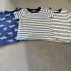 恐竜柄とストライプのTシャツ3枚セット80サイズ