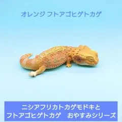 海洋堂】カプセルQミュージアムヤモリ大全Ⅲヒョウモントカゲモドキ