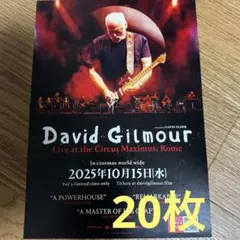 David Gilmour ライブフィルム　アンコール上映限定　フライヤー20枚