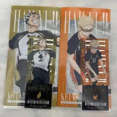 ハイキュー　チケットファイル　クリアカード