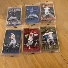 未開封 48枚　カルビー　プロ野球チップス　2025年　第二弾　開幕投手カード