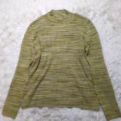 【GIANNI LO GIUDICE】 ニット 40 ハイネック マルチボーダーのサムネイル