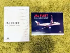 JAL FLEET CALENDAR 2026 カレンダー大＋卓上カレンダーのサムネイル