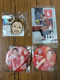 バレーボール女子日本代表 アクリルマーカー 缶バッジ 6点セット