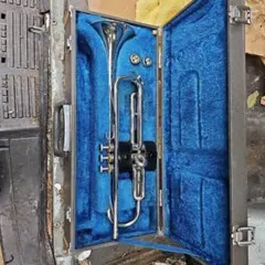 Item thumbnail for item 080c695e-478f-4b1c-9151-2e797a2add4d