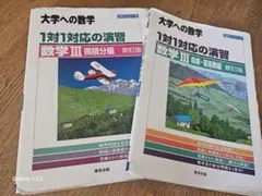 大学への数学 1対1対応の演習 数学III 2冊セット
