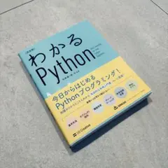 【早い者勝ち】 わかるPython 決定版 プログラミングのサムネイル