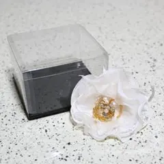 Item thumbnail for item 63946567-50e5-4703-9a25-c00d77af3456