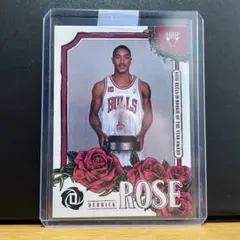 デリックローズ 2021-22 prizm  まとめ売る rainbow set 2025年最新】デリックローズ カードの人気アイテム - メルカリ