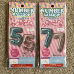 Item thumbnail for item 1722d87a-5d76-4121-beef-1b3593e77850