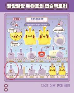 【日本未発売韓国限定】メタモン ランダム　マスコット　ポケモン　ポップアップ