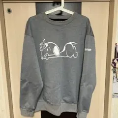 VESP(ベスプ)スノーウェアレディースM