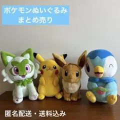早い者勝ち‼️】 ぬいぐるみ ぽこ あ ポケモン ピカチュウ おまけ付き