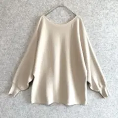 LEPSIM レプシィム ドルマン リブ ニット プルオーバー グレージュ F