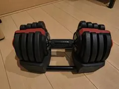 CLIMAX 可変式ダンベル 38kg 筋卜レ片手用 - メルカリ