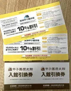 甲子園歴史館　入館引換券　2枚　グッズショップ 10%割引　2枚セット