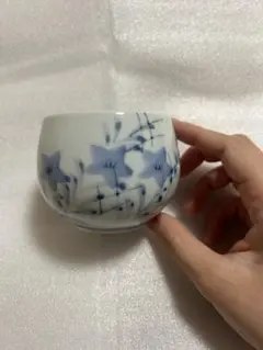 Item thumbnail for item a10845d5-85d6-498d-ba73-6921e60bd9da