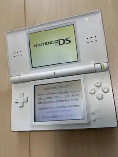 Nintendo DS Lite ホワイト 本体 充電器付き